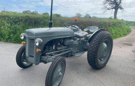 1955 Ferguson TED 20